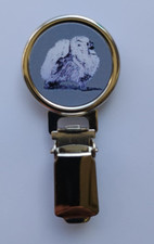 Pomeranian Dog Show Ring