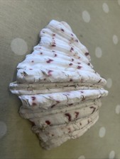 Clam Shell Horse Hoof