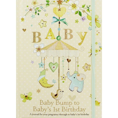 Baby journal bump 1st - journal,