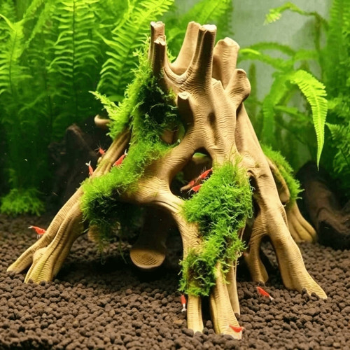 Fish shrimp hiding cave - shrimp,