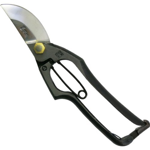 Toizuka pruning shear - pruning, a