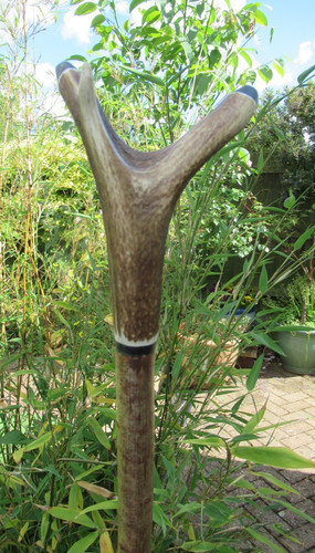 Hand crafted tall - crafted, hazel