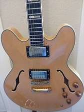 Epiphone   Sheraton  Hollow