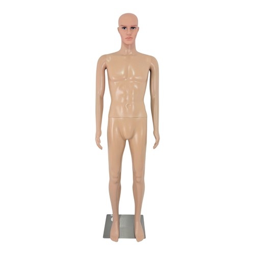 Male mannequin full - male,