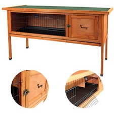 Pet Dwarf Rabbit Bunny Guinea