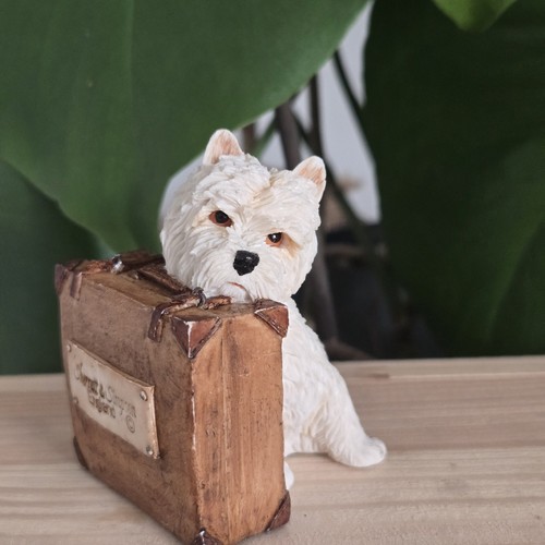 Sherratt simpson westie dog - simpson,