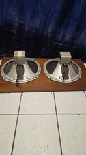 12" Alnico Speaker Rib Cone