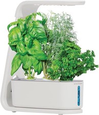 AeroGarden Sprout - Indoor