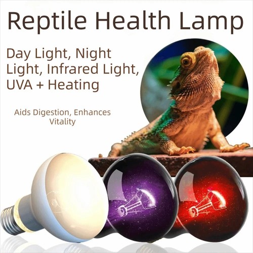 250w infrared heat lamp - heat,