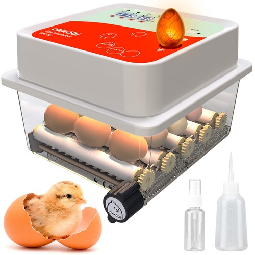Obi egg incubator - incubator,