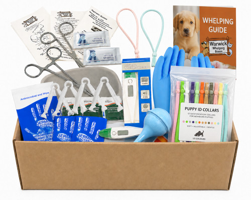 Puppy dog whelping kit - puppy, with