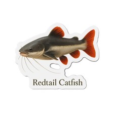 Die-Cut Fridge Magnet Redtail Catfish Amazon River Art