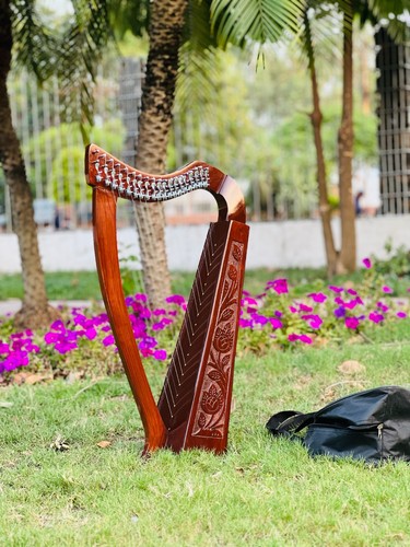 Rosewood strings irish - rosewood, 19