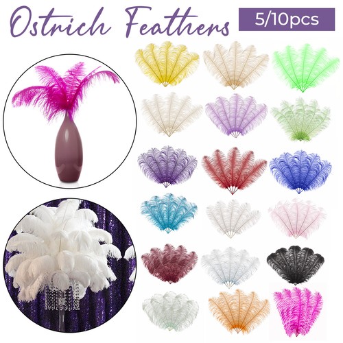 Large ostrich feathers - large,