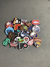 Lapel Pin brooch badge nhl ice