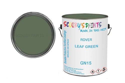 Classic paint for - classic,
