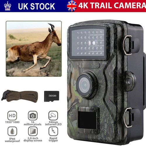 32gb wildlife trail - wildlife, camera