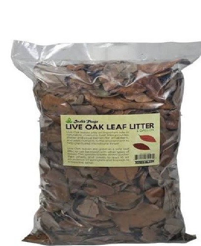 Organic oak leaf litter - leaf,