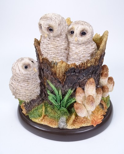 Border fine arts birds - border,