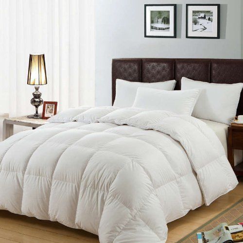 Luxury goose feather - feather, &
