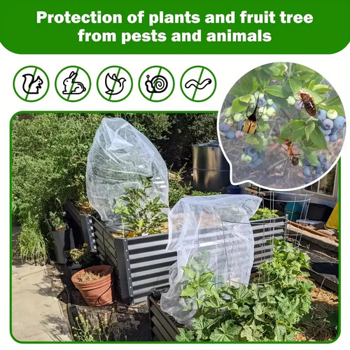 Garden plant protection - plant,