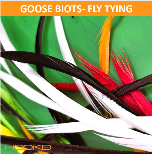 Premium coloured goose biots - goose,