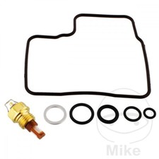 Carburetor Repair Kit for