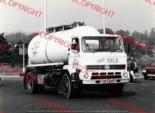 Truck photo dairy - truck,
