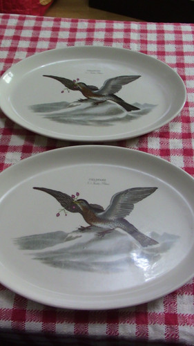 Portmeirion birds britain - birds,