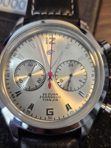 Seagull 1963 a - seagull,