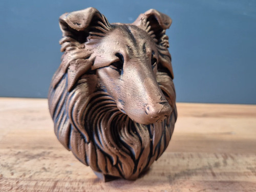 Rough collie bust - rough,