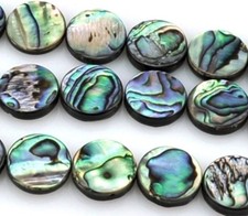 Green Abalone Shell Mother of