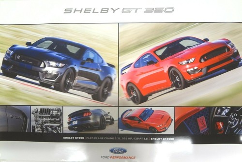 Shelby mustang gt350 - shelby,