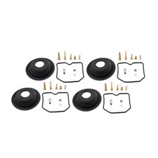 Carburetor Repair Kit
