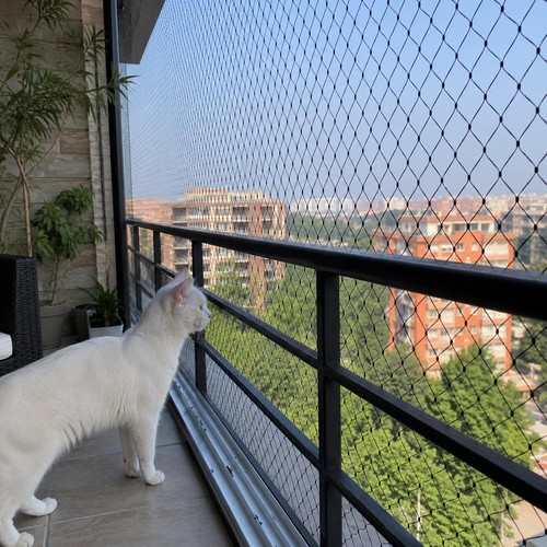 10m cat safety net - 5m, x