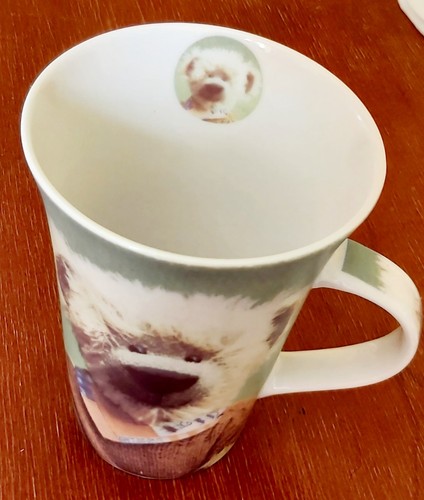 Leonardo lifestyle teatime - lifestyle,