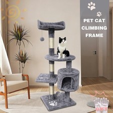 Multilevel Cat Tree Scratching
