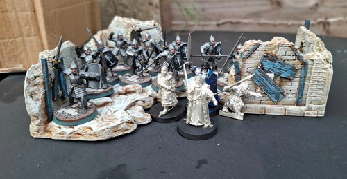 Pro painted 10x warriors - pro,