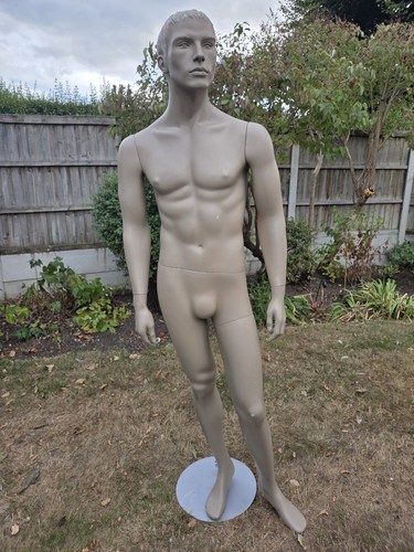 Full size male fibreglass shop - full,