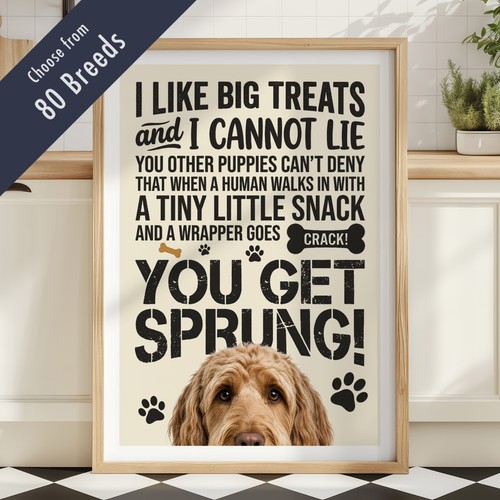 Funny dog treats lyric - funny, quote