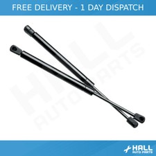 2x TAILGATE BOOT GAS STRUTS