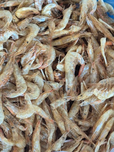 Fresh dried whole crayfish - fresh,