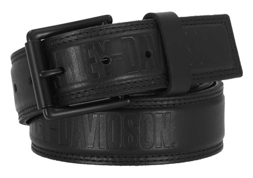 Harley davidson men raised - men's,