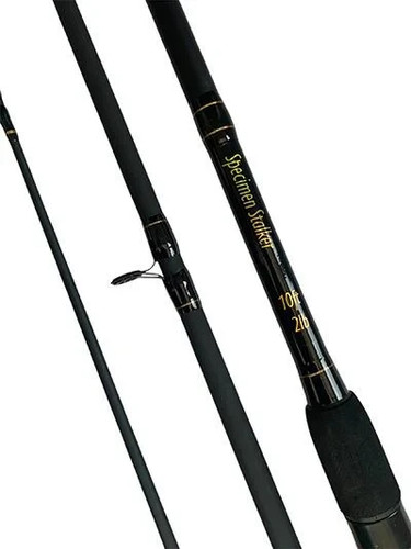 Carp fishing rod 10ft 3 - ,