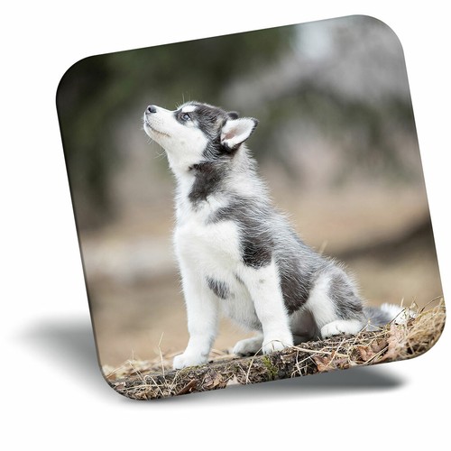 Awesome fridge magnet - fridge,