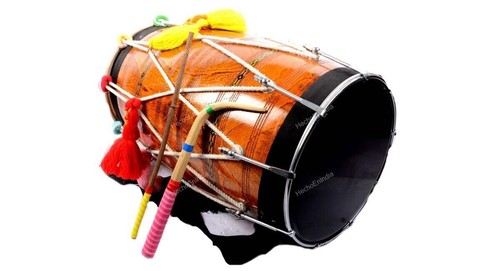 New professional indian bina - professional,