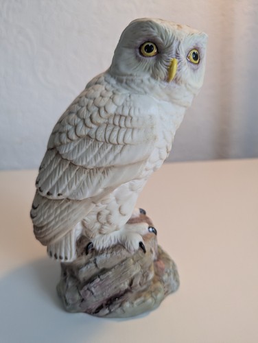 Aynsley fine porcelain snowy - fine,