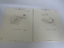 Refna Hamey 2 x Limited