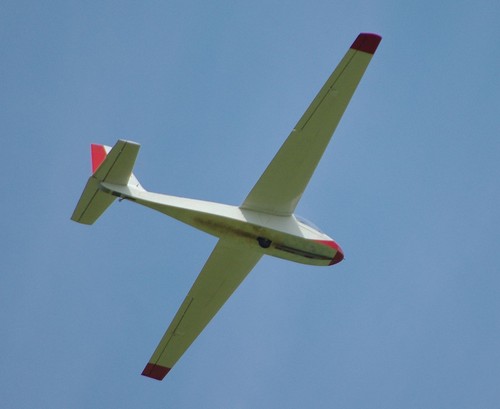 Giant scale slingsby - giant, t-49b