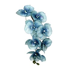 Beautifully Crafted 8 Head Phalaenopsis Orchid for Home and Event Centers
